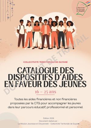 Document De Travail Catalogue Des Dispositifs D'aides De La Ctg Aux Jeunes