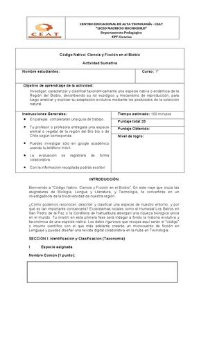 Guía De Aprendizaje Primero Medio Taxonomia