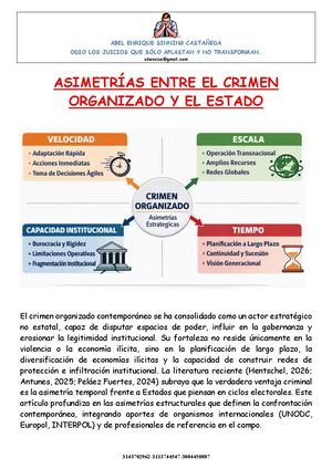 Asimetrías Entre El Crimen Organizado Y El Estado