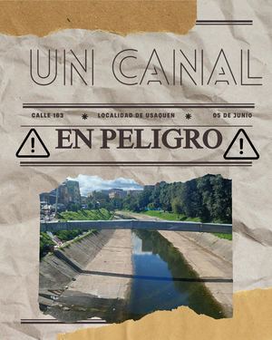 Revista Un Canal En Peligro