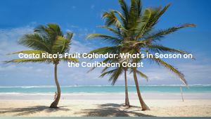 Costa Rica's Fruit Calendar: What's in Season on the Caribbean Coast