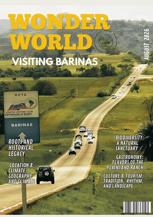 Wonder World Magazine