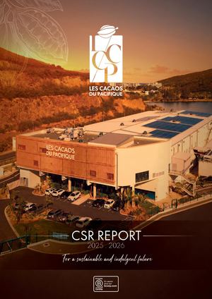 26 03 Lccp Rapport Rse 2025 Angl