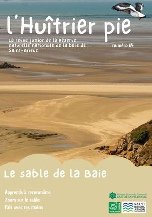 Huitrier Pie 64