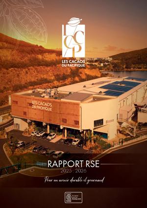 26 03 Lccp Rapport Rse 2025