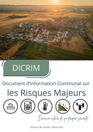 Dicrim (4)