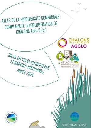 Etude Chauve Souris Et Rapaces Nocturnes ABC CAC_ Décembre 2024