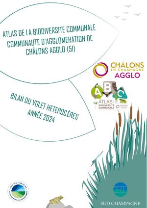 Etude Papillons De Nuit ABC CAC Décembre 2024
