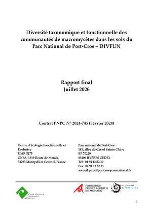 Divfun Rapport Final 2
