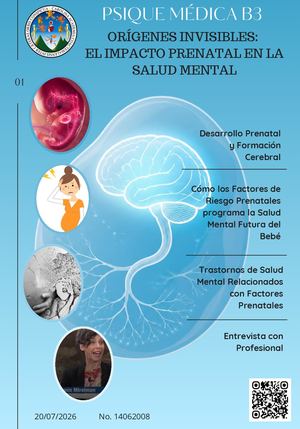 Psique Medica B3 Origenes Invisibles El Impacto Prenatal En La Salud Mental