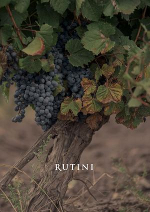 Rut Catalog Comex Core+tactical