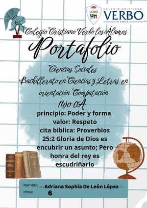 Portafolio Proyecto Sociales