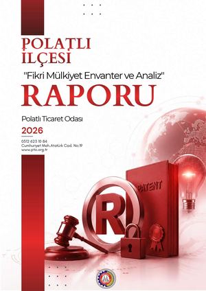 Polatlı İlçesi Fikri Mülkiyet Envanter ve Analiz Raporu