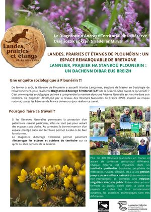 Design Sans Titre