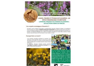 Design Sans Titre (1)