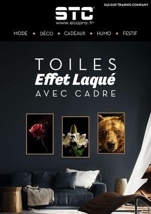 STC - 2026 - Semaine 32#2 - Toiles effet laqué avec cadres