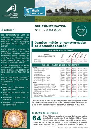 Bulletin Irrigation n°11 - Eté 2026