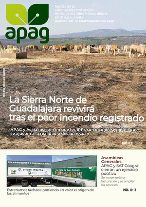 Revista Apag Nº 187 Segundo Cuatrimestre De 2026