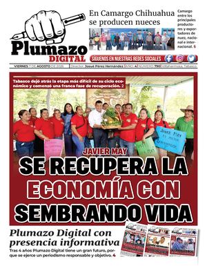 Plumazo Digital 790