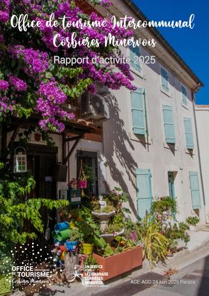 Rapport D'activité 2025