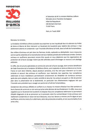Lettre M Lefevre
