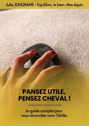 E Book Pansez Utile Pensez Cheval Equilibre