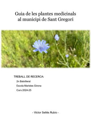 2025 Guia Plantes Medicinals Sant Gregori 1 2025