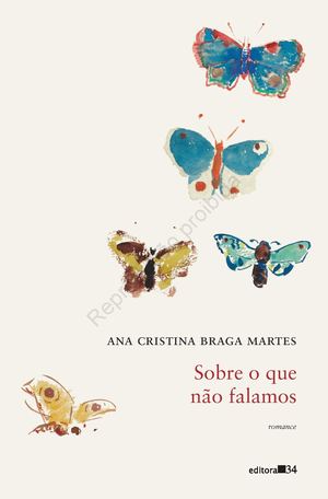 Santa Inês - Sobre o que não falamos