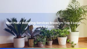 Best Plant Watering Services Brooklyn: Top 3 Local Sitters & Costs