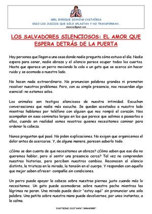 Los Salvadores Silenciosos