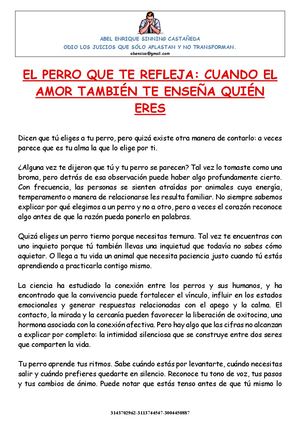 El Perro Que Te Refleja