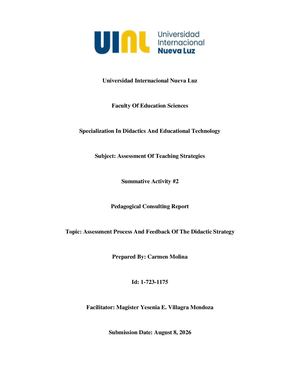 English Version Pedagogical Consulting Report