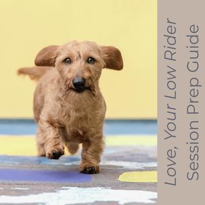 Love, Your Low Rider Session Guide