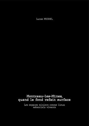 Lucas MICHEL- Mémoire de Fin d'Etudes