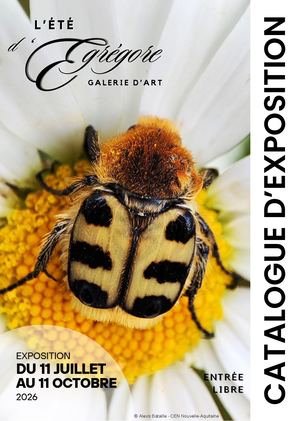 Catalogue été 2026