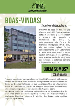 Jornal Rnamensageiro 26 2