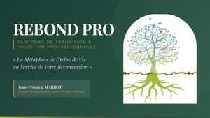 Rebond Pro Transformer Votre Transition Professionnelle En Opportunite