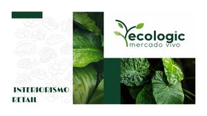 Portafolio Ecologic Pdf