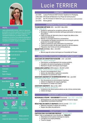 Lucie Terrier Cv Professionnel