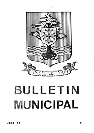 Bulletin Municipal de Pins-Justaret N° 1