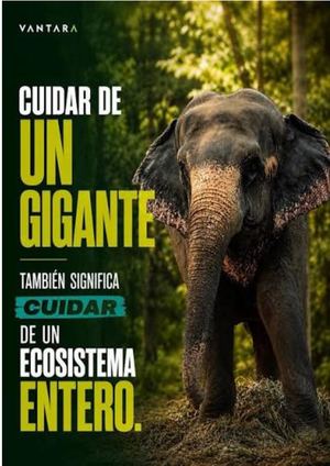 Estudio Integral Sobre La Extinción De Los Animales
