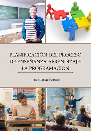 Revista Planificación Del Proceso De Enseñanza Aprendizaje La Programación
