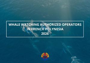 Liste Des Professionnels Habilités à L'observation Des Baleines à Bosse (US)