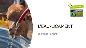 L'eau Licament Le Premier Aliment