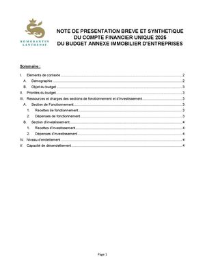 Cfu Budget Immobiliers Entreprises 2025 Note De Presentation Breve Et Synthetique