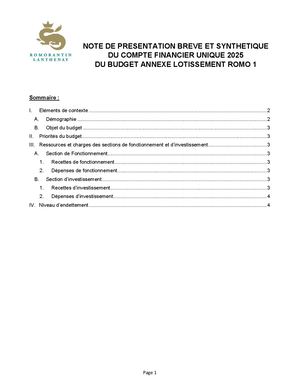 Cfu Budget Lotissement Romo 1 2025 Note De Presentation Breve Et Synthetique