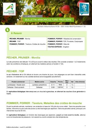 Bulletin arbo n°29 du 11 Août 2026