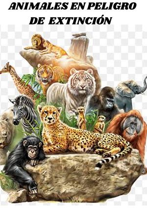 Jose Edward Animales En Peligro De Extincion 1