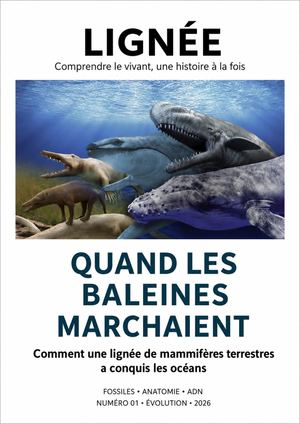 LIGNÉE — N°01 — Quand les baleines marchaient