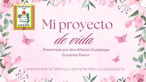 Proyecto de vida Allisson